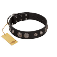 "Tricky Ricky" FDT Artisan Black Leather Boxer Collar Adorned with Silver-Like Conchos