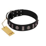 "Silver Spikes" Exclusive FDT Artisan Black Leather Boxer Collar