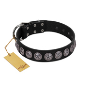 "Black Raven" Handmade FDT Artisan Black Leather Boxer Collar with Silver-Like Adornments
