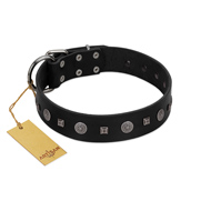 "Mr. Elegance" Designer FDT Artisan Black Leather Boxer Collar with Silver-Like Studs
