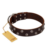 "Blossom Jewel" FDT Artisan Brown Leather Boxer Collar with Two Rows of Silver-like Studs with Engraved Flowers