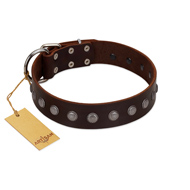 "Spring Flower" Stylish FDT Artisan Brown Leather Boxer Collar for Comfy Walks