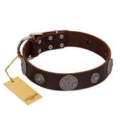 "Flashy Woof" FDT Artisan Brown Leather Boxer Collar with Chrome Plated Brooches