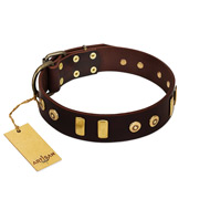 "Lord of Dogs" FDT Artisan Brown Leather Boxer Collar with Old Bronze-like Dotted Studs and Tiles