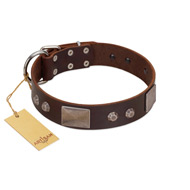 "Stone Stars" Stylish Handmade FDT Artisan Brown Leather Boxer Collar