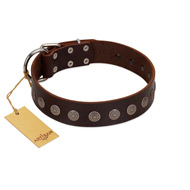 "Starry-Eyed" Best Quality FDT Artisan Brown Designer Leather Boxer Collar with Small Plates