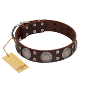 "Sun in Barchans" Modern FDT Artisan Brown Leather Boxer Collar with Engraved Stars on Round Plates and Studs