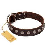 "Lucky Silver" Designer Handmade FDT Artisan Brown Leather Boxer Collar
