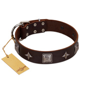 "Cold Star" Designer FDT Artisan Brown Leather Boxer Collar with Silver-Like Adornments