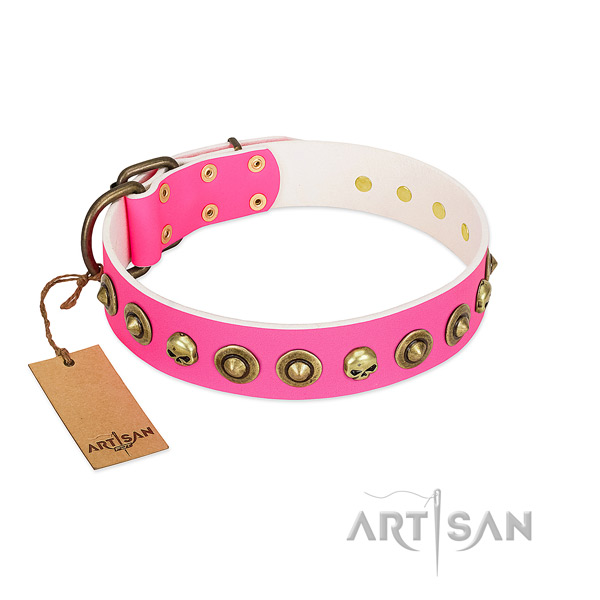 Stylish design full grain natural leather dog collar with rust resistant studs