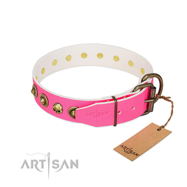 Full grain natural leather collar with incredible embellishments for your four-legged friend