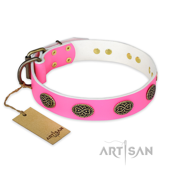 Incredible natural genuine leather dog collar for walking