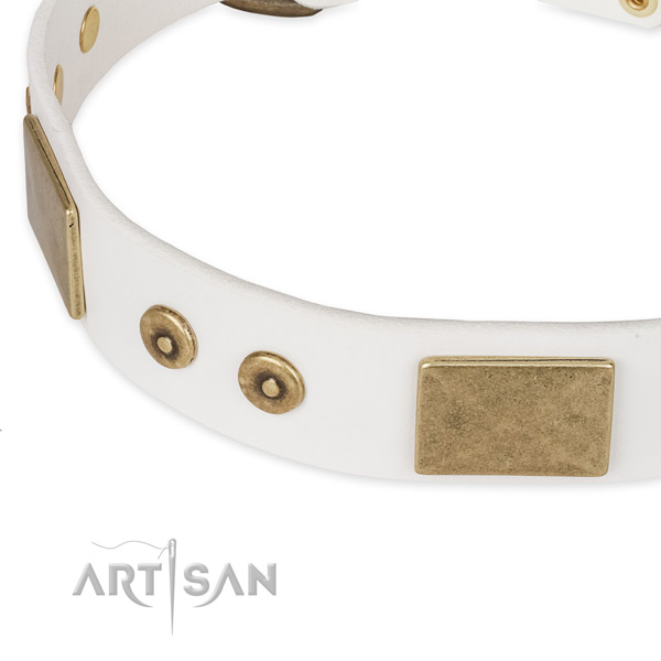 Corrosion proof traditional buckle on full grain leather dog collar for your four-legged friend