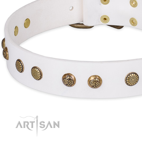 Full grain natural leather collar with corrosion proof D-ring for your attractive doggie