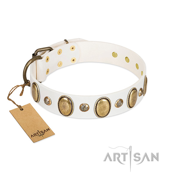 Leather dog collar of best quality material with significant studs