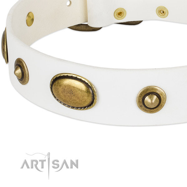 Reliable embellishments on leather dog collar for your doggie