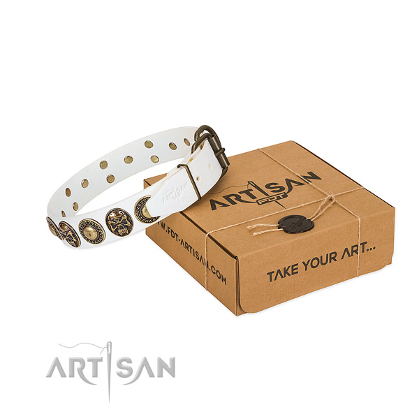 Durable D-ring on dog collar for basic training