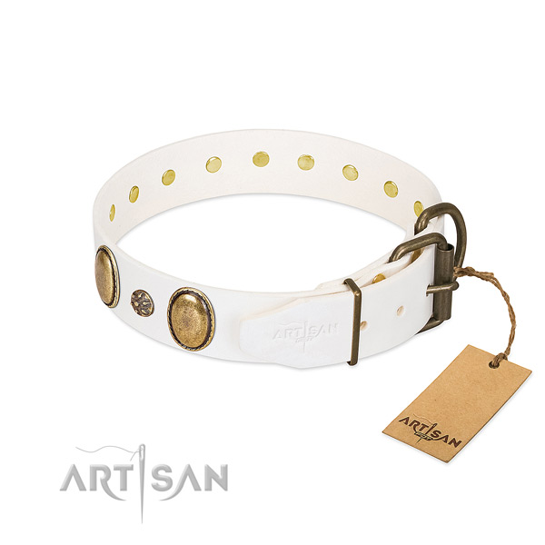 Stylish walking quality leather dog collar with embellishments