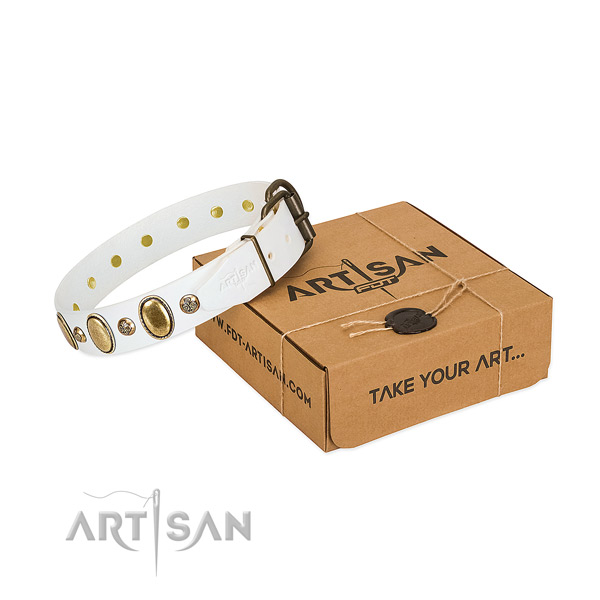 Extraordinary full grain leather dog collar with durable buckle