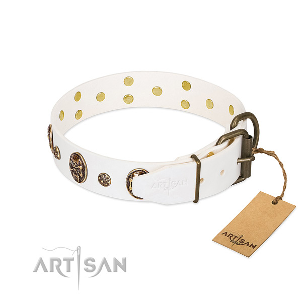 Reliable decorations on genuine leather dog collar for your pet