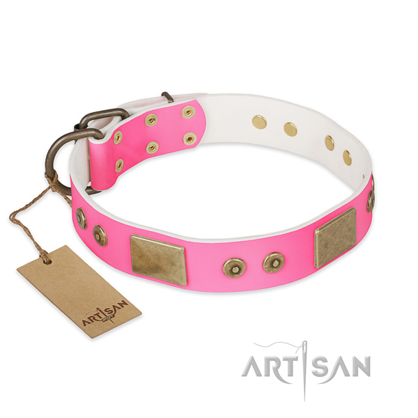 Easy to adjust leather dog collar for basic training your pet