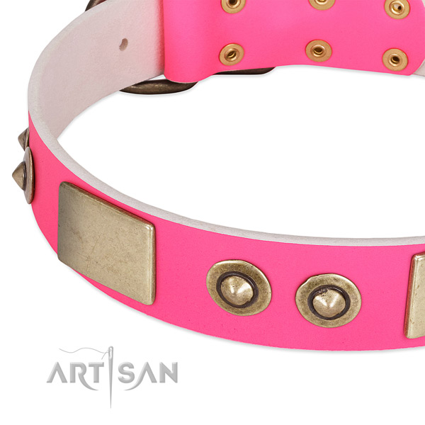 Rust resistant embellishments on genuine leather dog collar for your pet