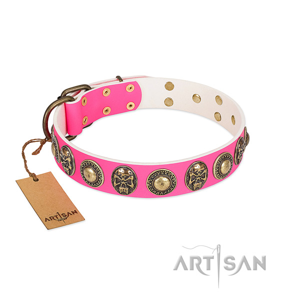 Easy wearing full grain genuine leather dog collar for basic training your canine