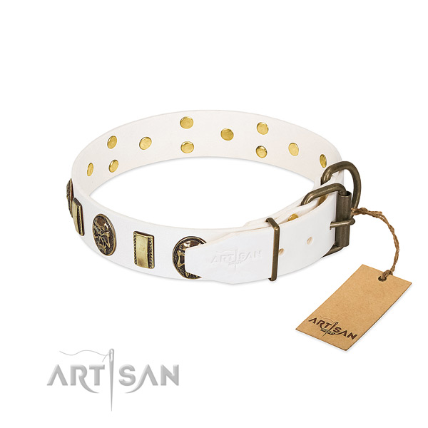 Strong traditional buckle on full grain leather collar for daily walking your four-legged friend