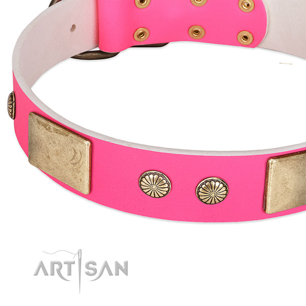 Corrosion proof D-ring on leather dog collar for your dog