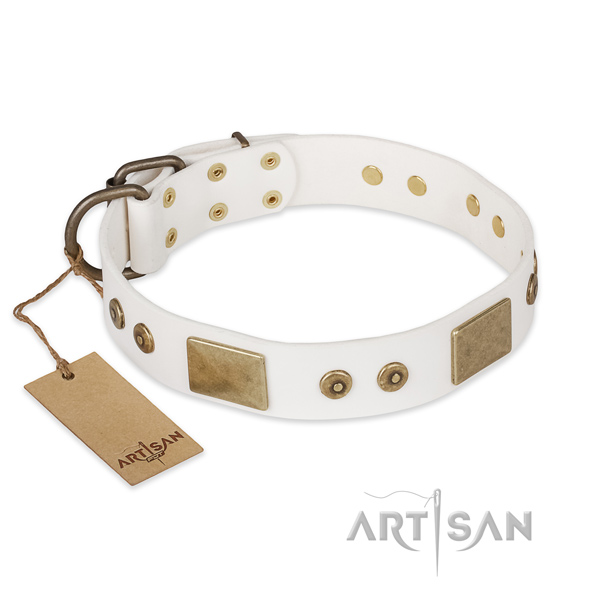 Inimitable full grain natural leather dog collar for daily walking