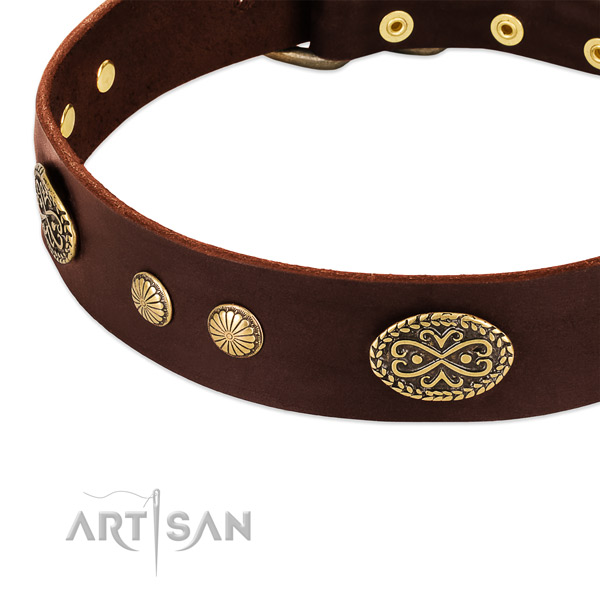 Durable decorations on leather dog collar for your canine