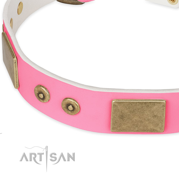 Genuine leather dog collar with adornments for everyday use