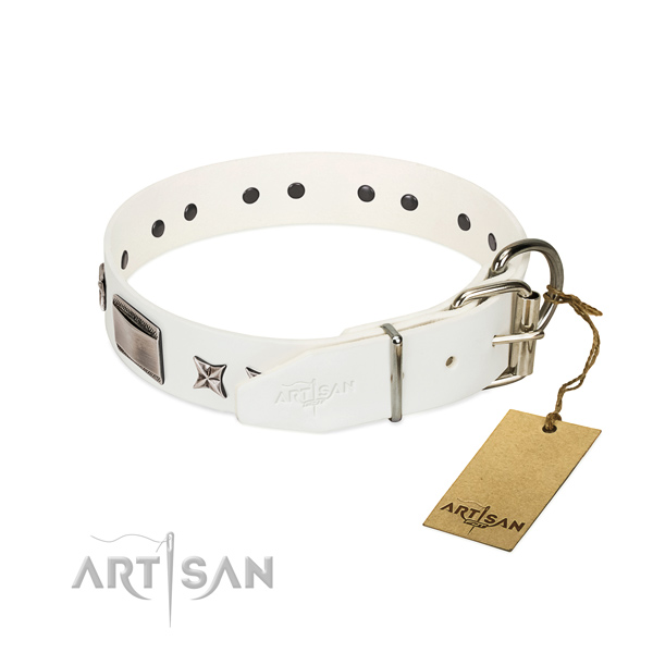 Designer collar of full grain genuine leather for your impressive canine