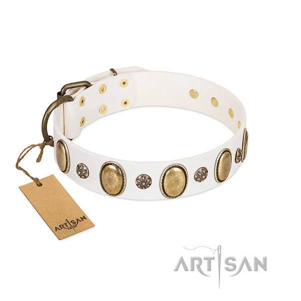 Fancy walking soft leather dog collar with studs