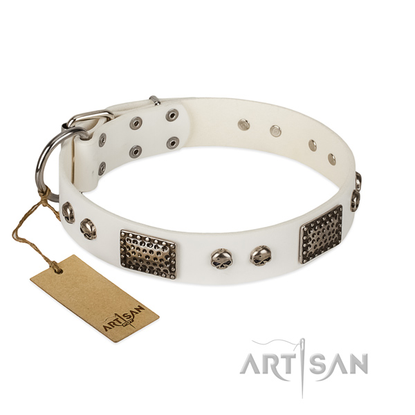 Easy adjustable full grain leather dog collar for basic training your four-legged friend
