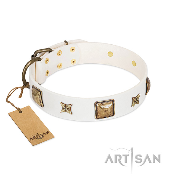 Exquisite leather dog collar for walking