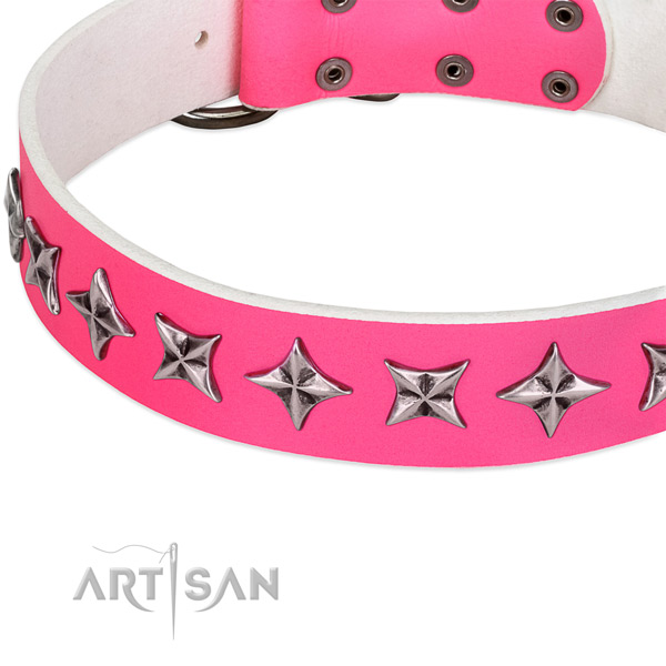 Basic training embellished dog collar of quality leather
