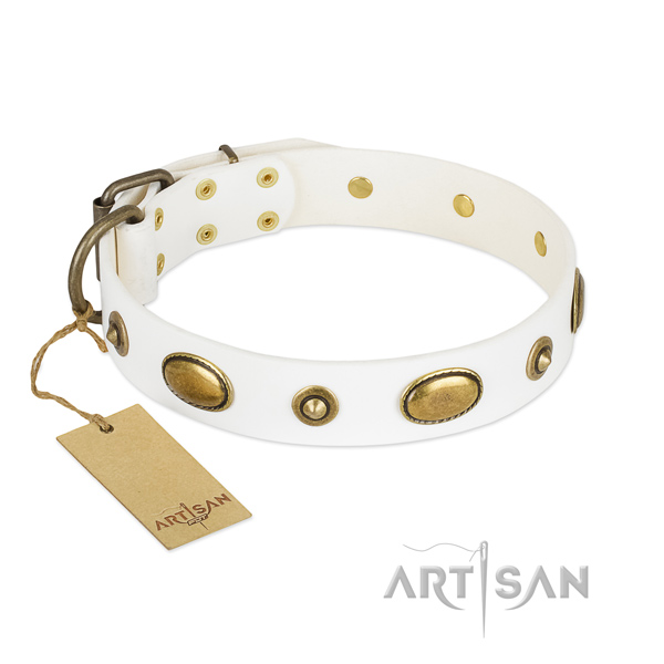 Studded full grain natural leather collar for your pet
