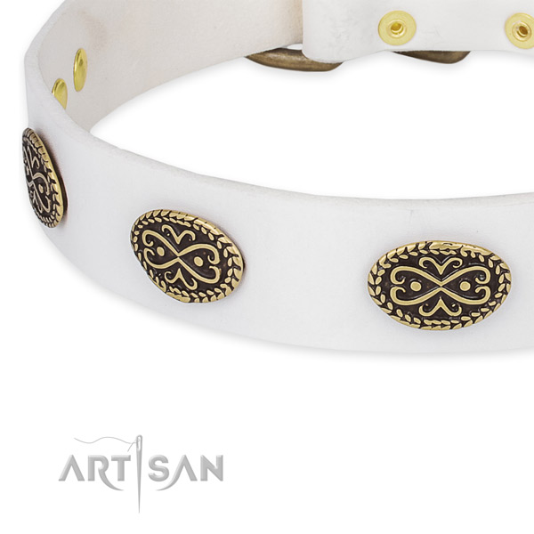 Exceptional genuine leather collar for your handsome doggie