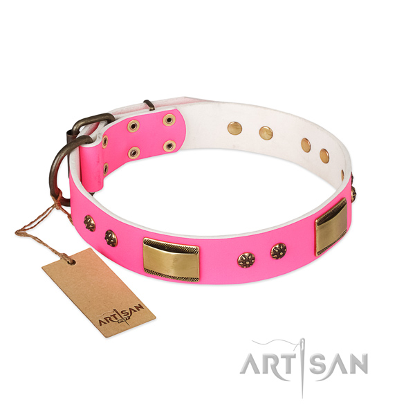 Exceptional natural genuine leather collar for your four-legged friend