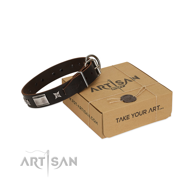 Exquisite collar of leather for your stylish dog