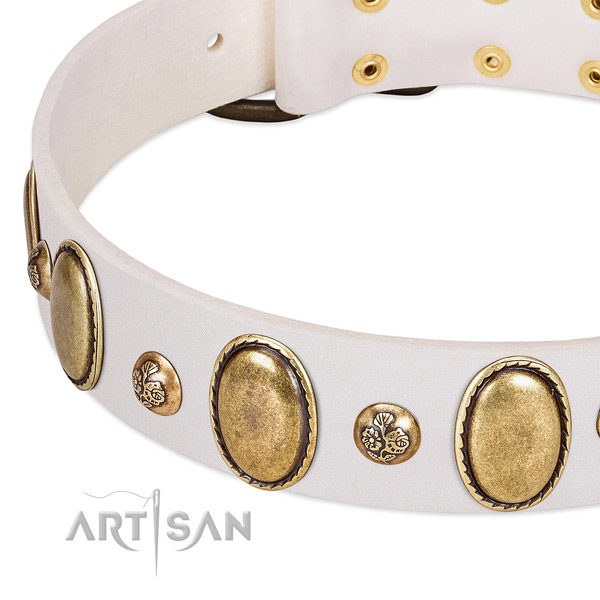 Full grain genuine leather dog collar with extraordinary studs