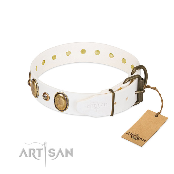 Walking full grain natural leather dog collar
