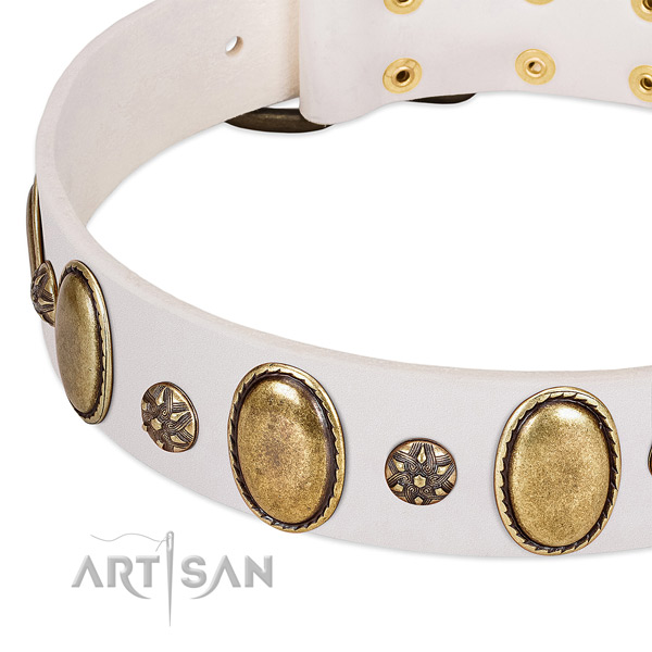Fancy walking soft to touch leather dog collar with adornments