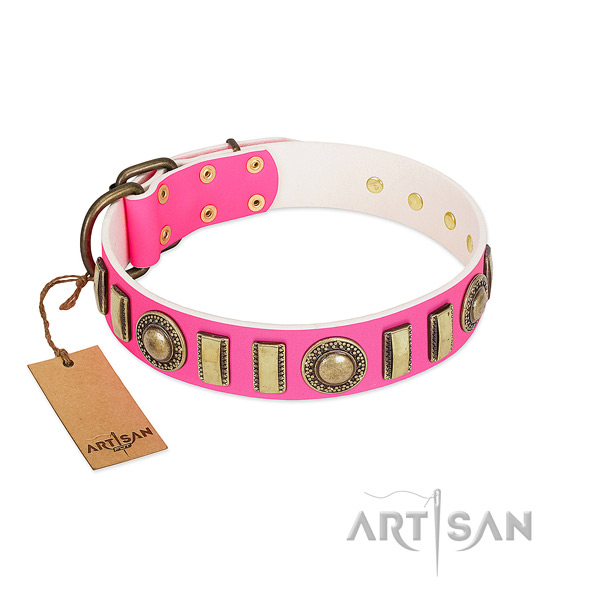 Adorned full grain natural leather dog collar with durable buckle