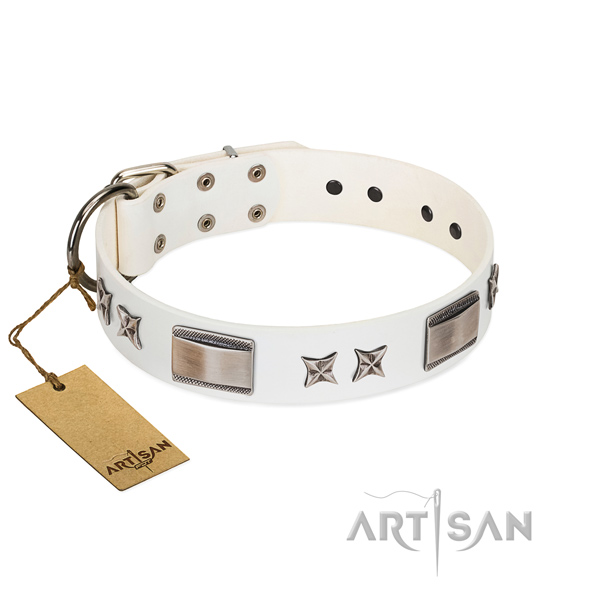 Stylish dog collar of leather