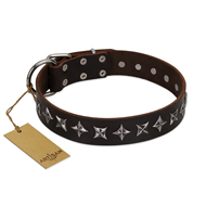 "Stars of Glory" FDT Artisan Brown Leather Boxer Collar for Comfortable Walking