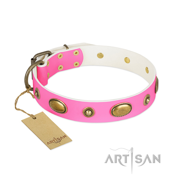 Trendy genuine leather collar for your dog