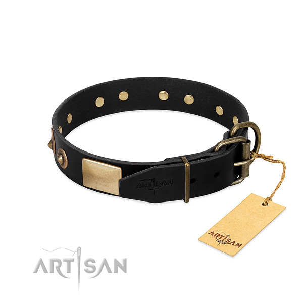 Reliable D-ring on daily walking dog collar