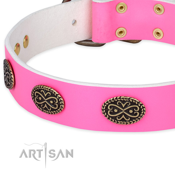 Genuine leather dog collar with adornments for stylish walking